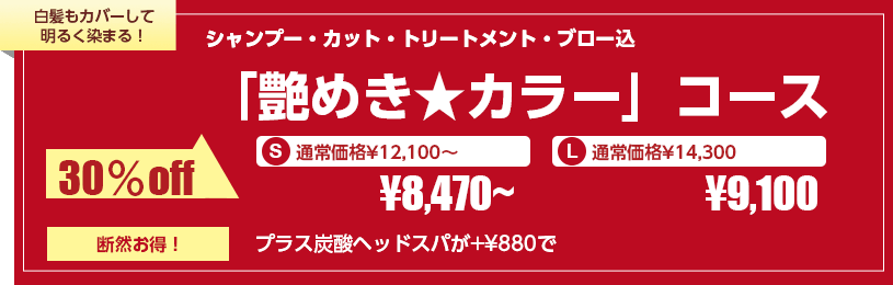 艶めきカラーコース